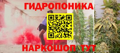 2c-b Шелехов