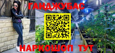 винт Шахты