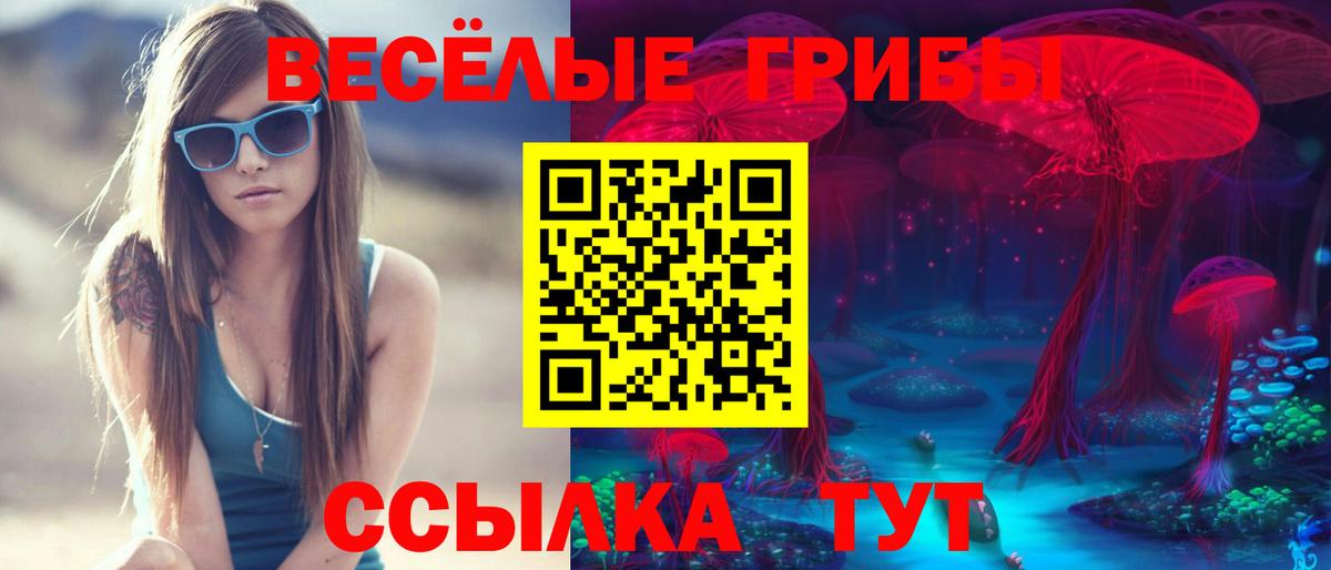Галлюциногенные грибы Magic Shrooms Сыктывкар