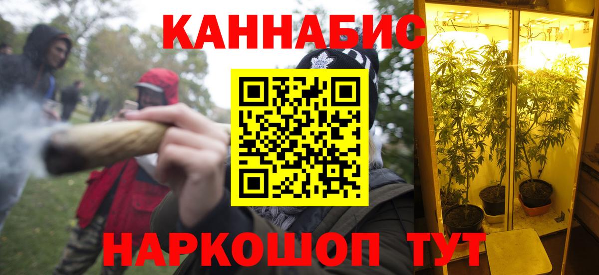 Канабис гибрид Сыктывкар